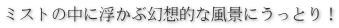 ミストの中に浮かぶ幻想的な風景にうっとり!